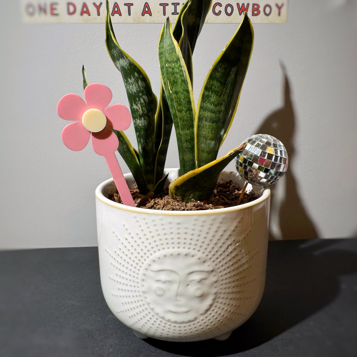 Plant Stakes (Set of 3)
