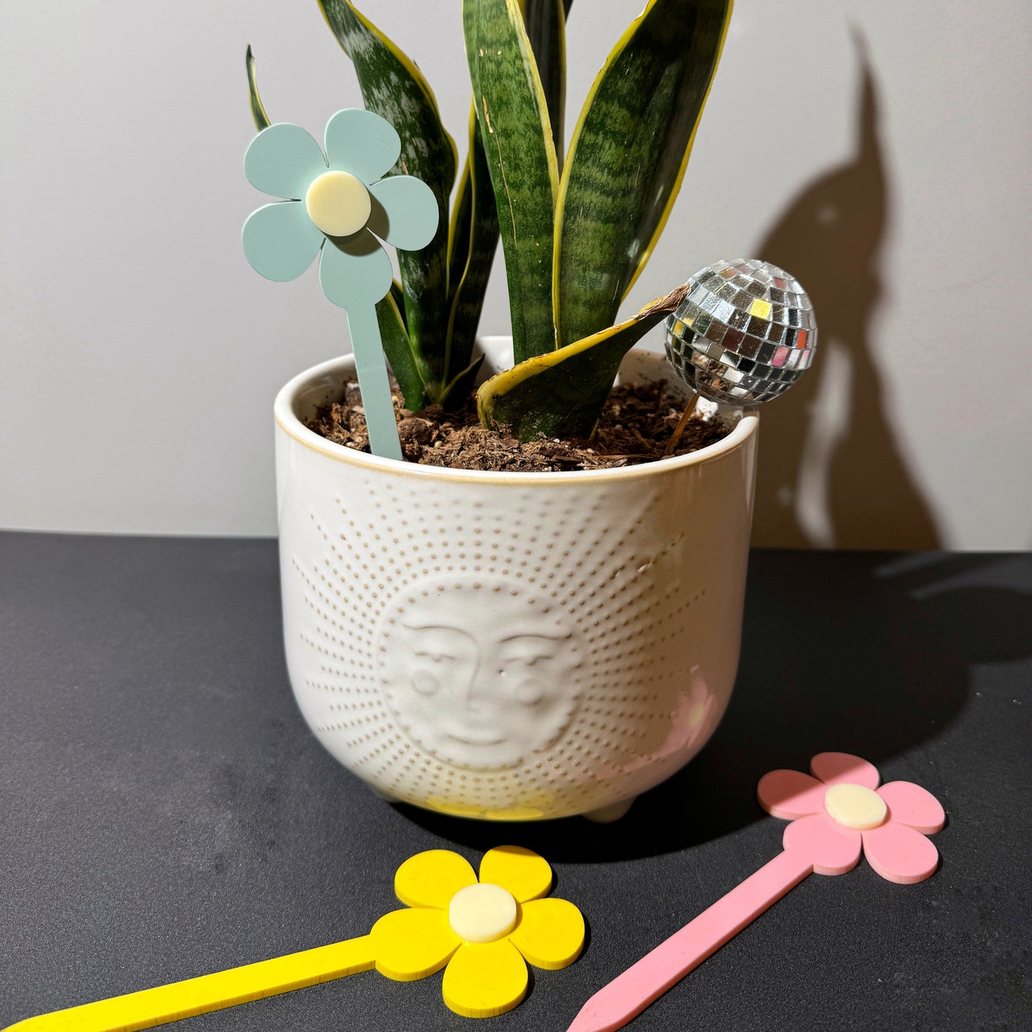 Plant Stakes (Set of 3)